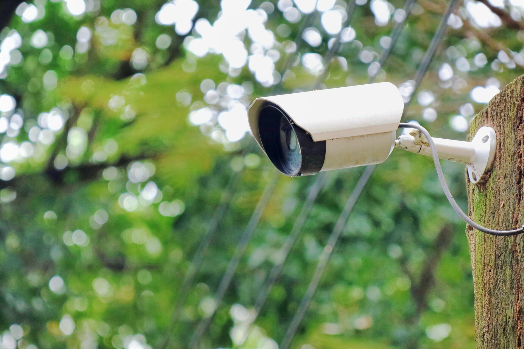 Eine weiße Überwachungskamera ist an einem vermoosten Holzbalken befestigt.